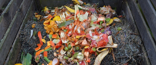 Jeśli zastanawiasz się nad założeniem kompostownika - sprawdź jak to zrobić.
