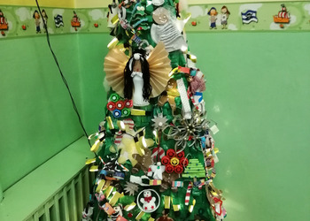 Pszczółki z Leszna