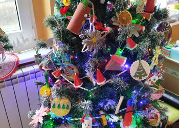 Motylki z Krzemieniewa