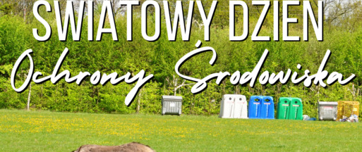 5 czerwca – Światowy Dzień Ochrony Środowiska