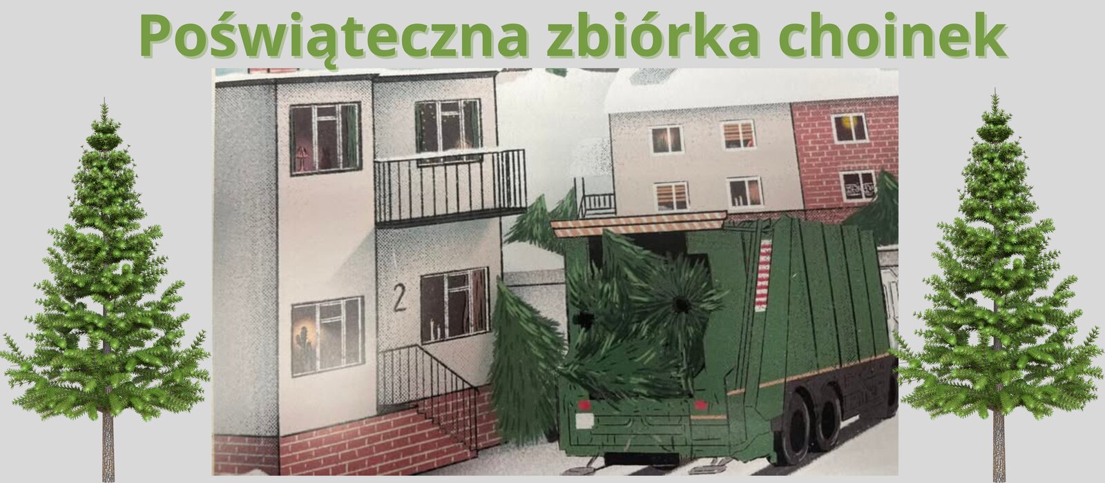 Zbiórka choinek
